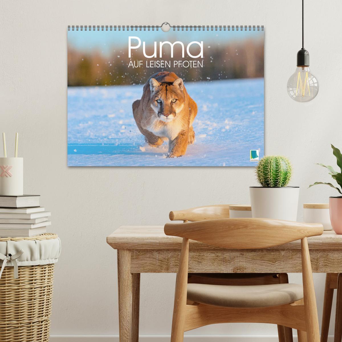 Bild: 9783383778087 | Puma: Auf leisen Pfoten (Wandkalender 2025 DIN A3 quer), CALVENDO...