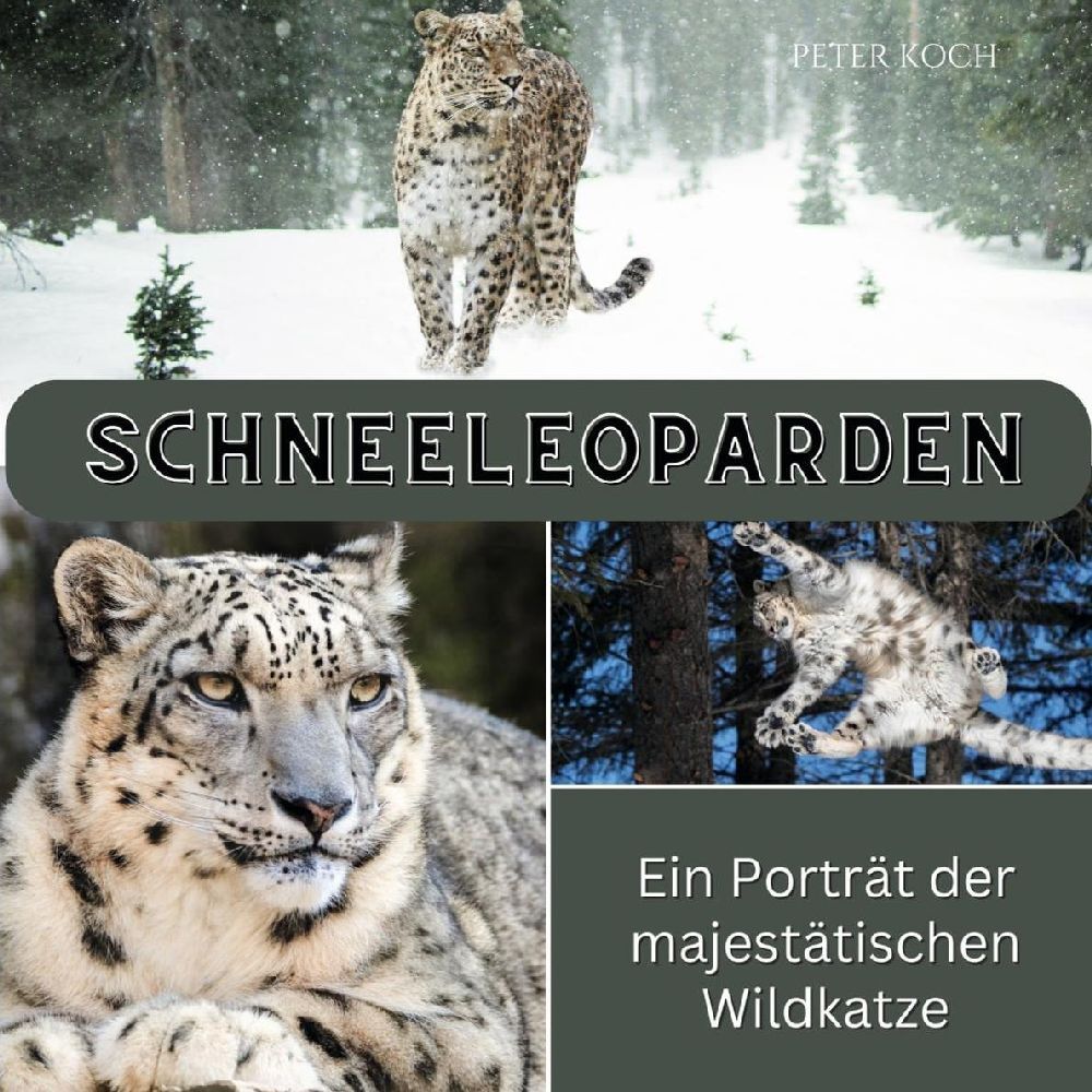 Cover: 9783750563711 | Schneeleopard | Ein Porträt der majestätischen Wildkatze | Peter Koch