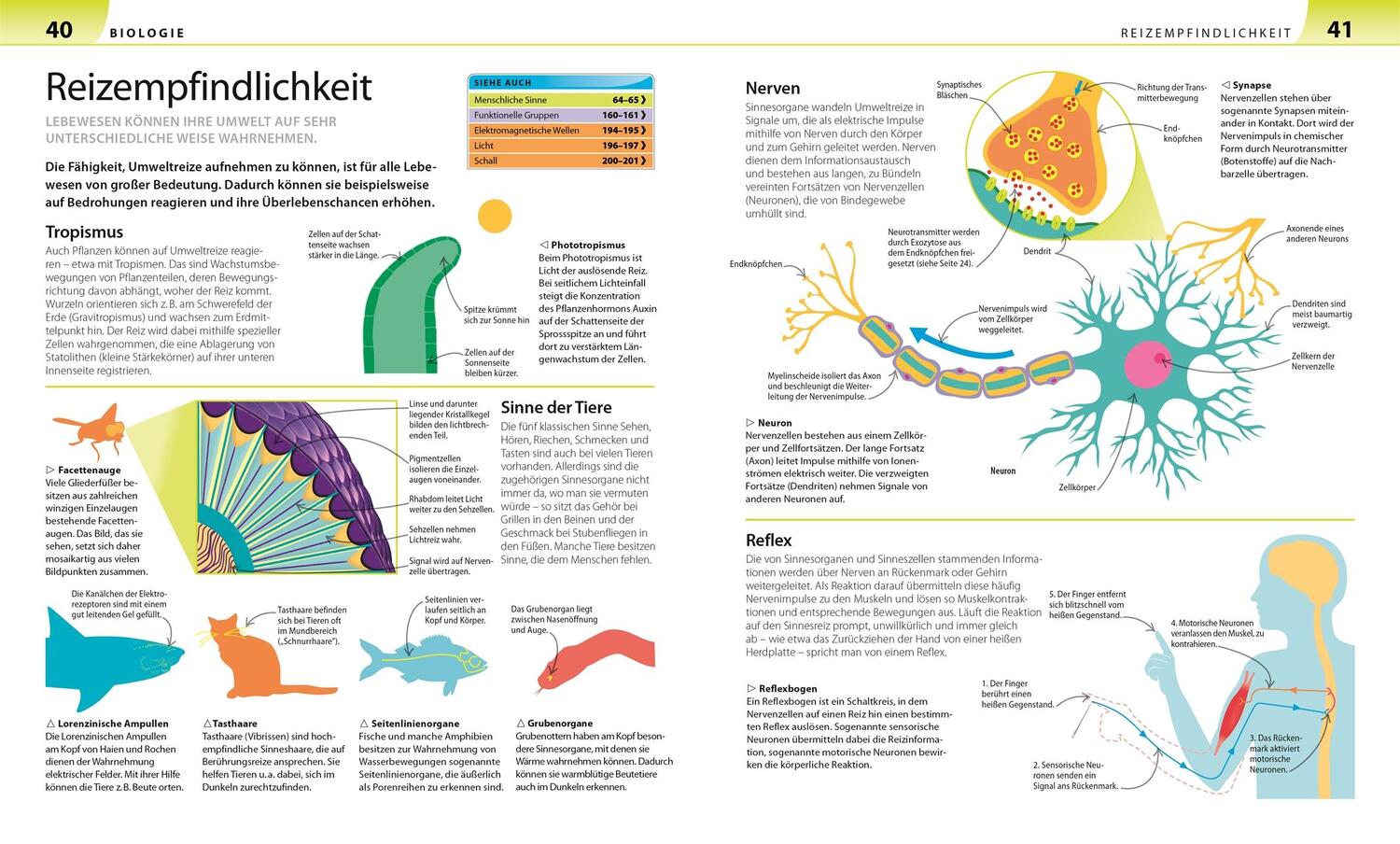 Bild: 9783831032587 | Biologie, Chemie, Physik für Eltern | Taschenbuch | für Eltern | 2017