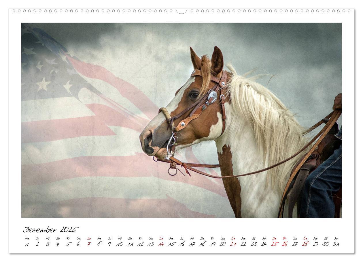 Bild: 9783435442676 | Mecklenburgs Wilder Westen (hochwertiger Premium Wandkalender 2025...