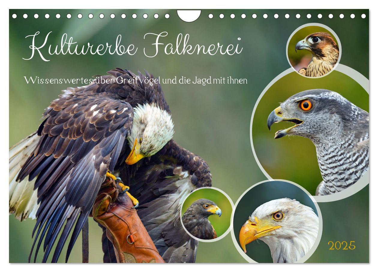 Cover: 9783383844355 | Kulturerbe Falknerei (Wandkalender 2025 DIN A4 quer), CALVENDO...