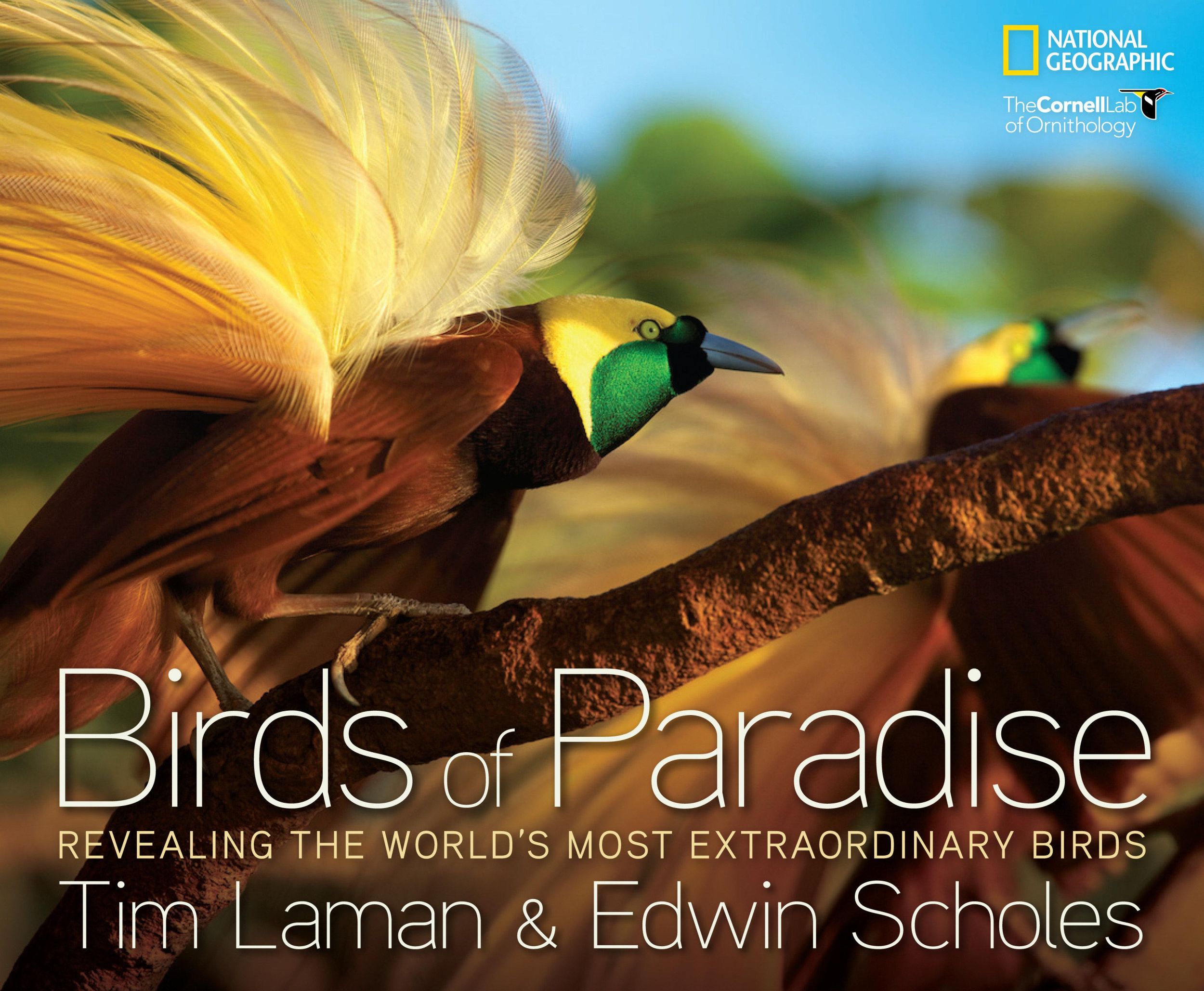 Cover: 9781426209581 | Birds of Paradise: Revealing the World's Most Extraordinary Birds