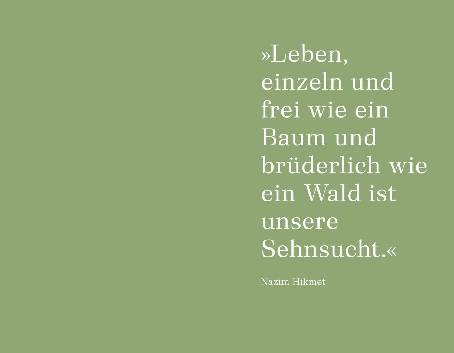 Bild: 9783833887581 | Unter Bäumen | Die Natur, mein Leben und der ganze Rest | Buch | 2023