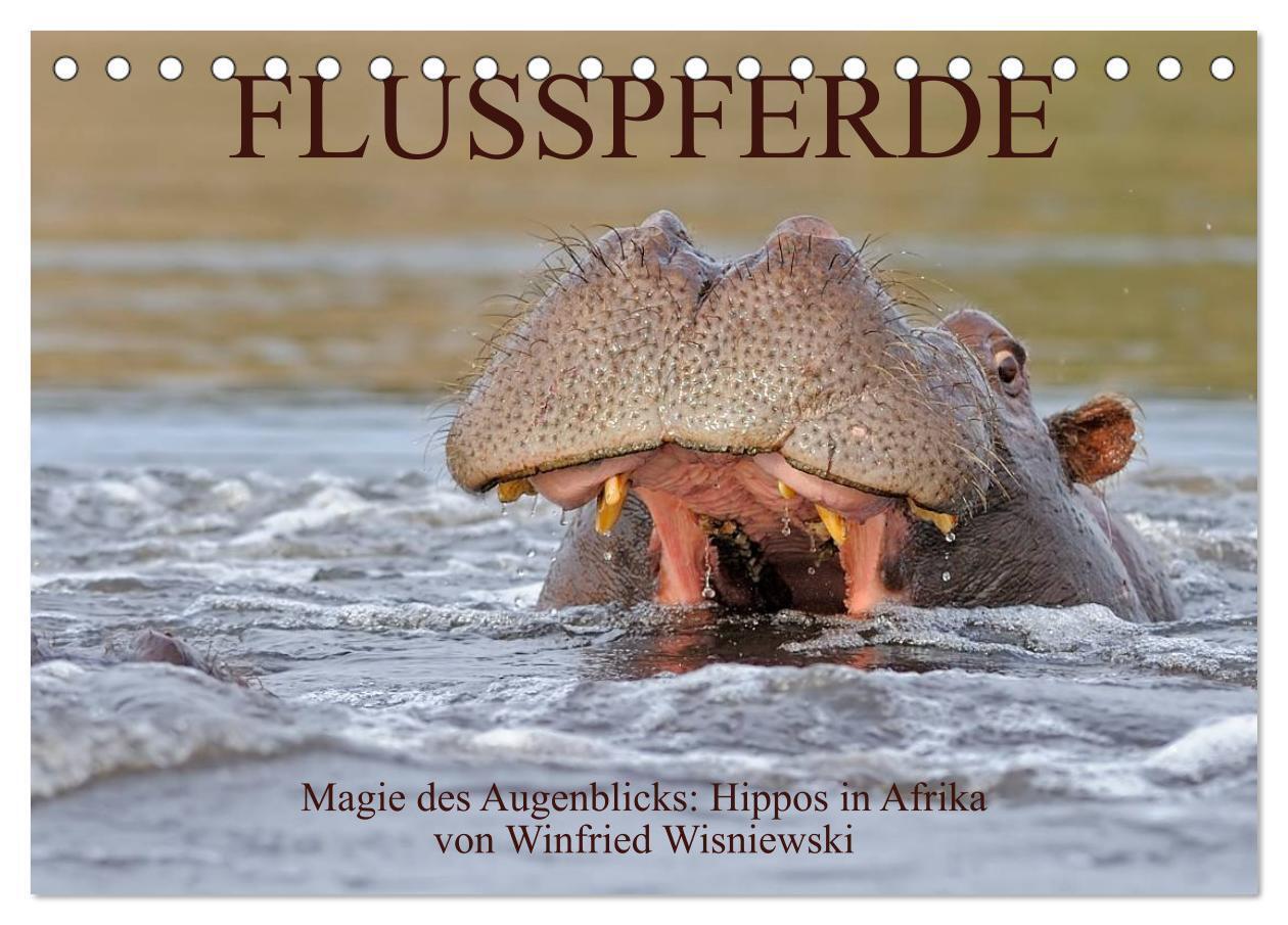 Cover: 9783435762026 | Flusspferde Magie des Augenblicks - Hippos in Afrika (Tischkalender...