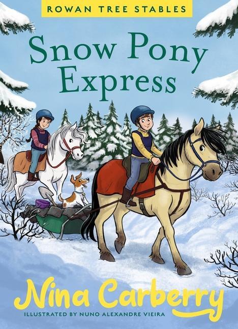 Cover: 9780717198733 | Rowan Tree Stables 3 - Snow Pony Express | Nina Carberry | Buch | 2024