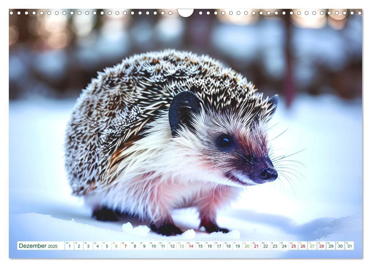 Bild: 9783383868726 | Niedliche Igel (Wandkalender 2025 DIN A3 quer), CALVENDO...