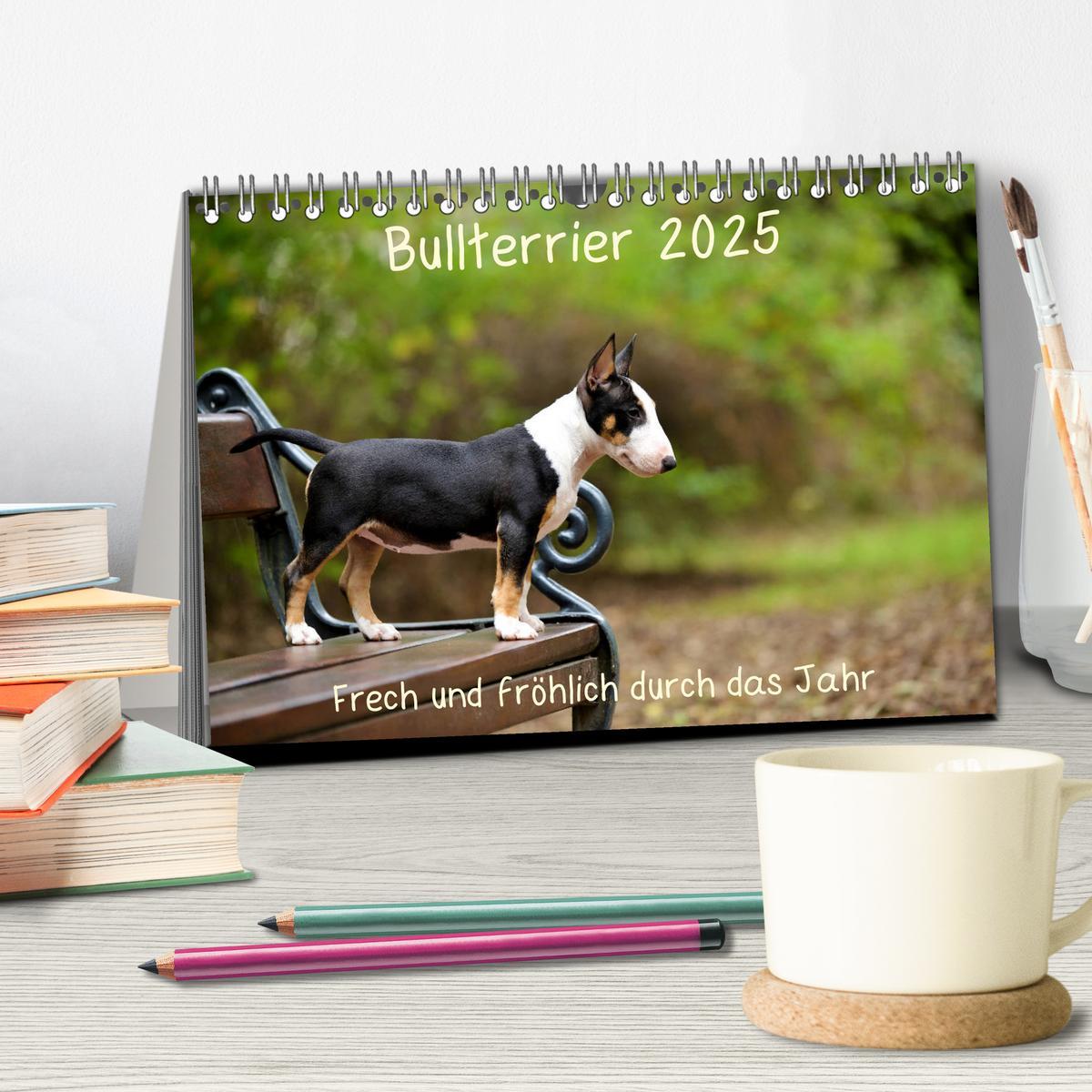 Bild: 9783435340330 | Bullterrier 2025 Frech und fröhlich durch das Jahr (Tischkalender...