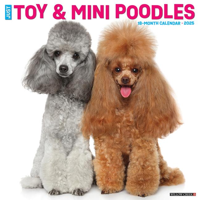 Cover: 9781549245145 | Just Toy &amp; Miniature Poodles 2025 12 X 12 Wall Calendar | Press | 2025