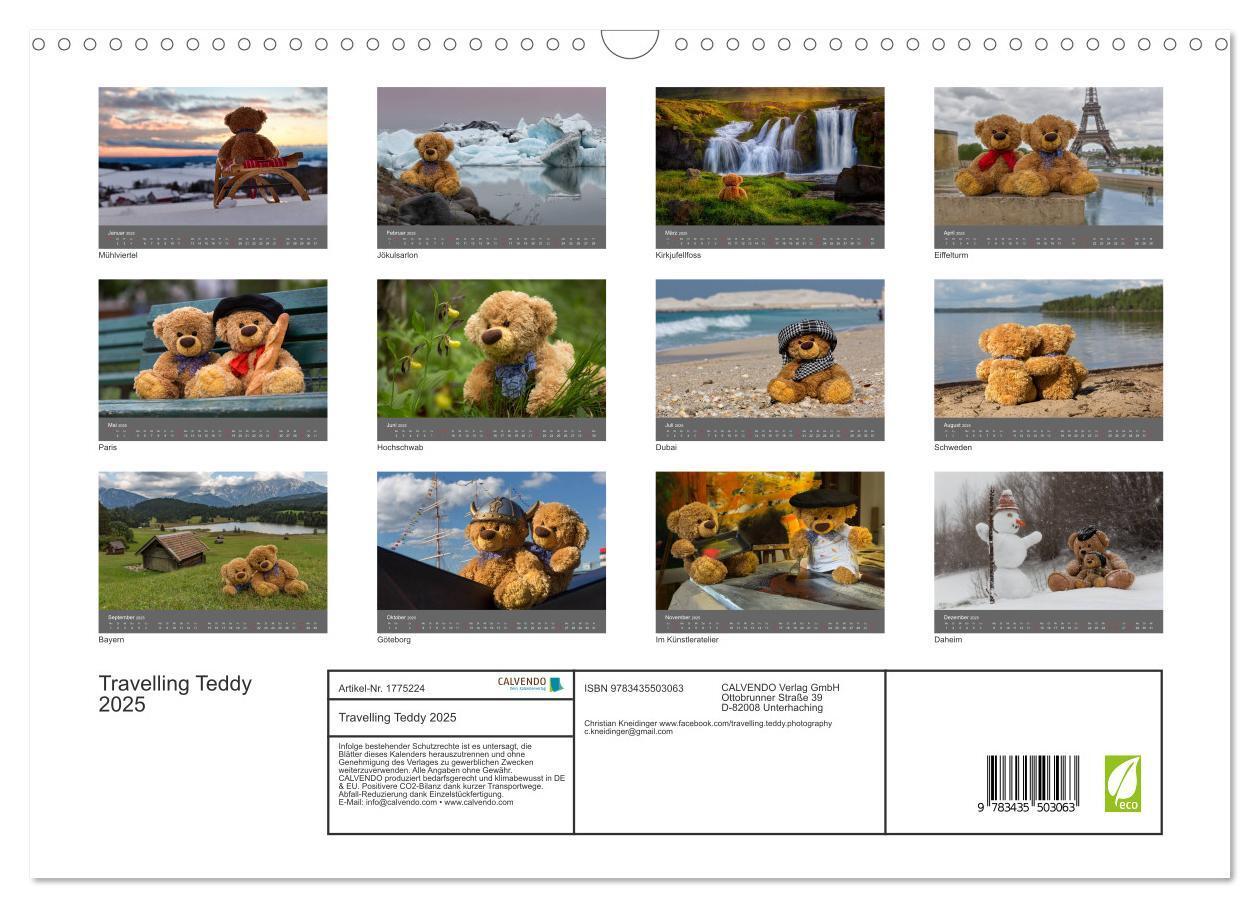 Bild: 9783435503063 | Travelling Teddy 2025 (Wandkalender 2025 DIN A3 quer), CALVENDO...