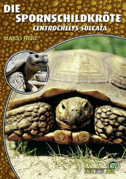 Cover: 9783866591417 | Die Spornschildkröte | Geochelone Sulcata | Mario Herz | Taschenbuch