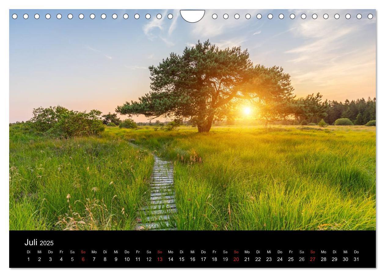 Bild: 9783435558087 | HOHES VENN - Einblicke in ein Hochmoor (Wandkalender 2025 DIN A4...