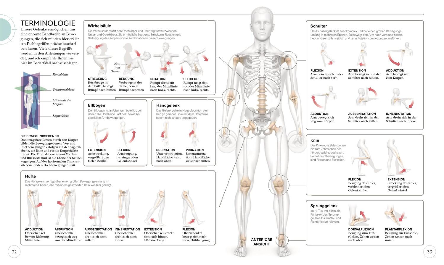 Bild: 9783831045303 | HIIT - Die Anatomie verstehen | Ingrid S. Clay | Taschenbuch | 224 S.