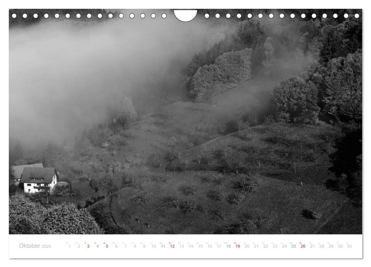 Bild: 9783435514885 | Mystischer Schwarzwald (Wandkalender 2025 DIN A4 quer), CALVENDO...