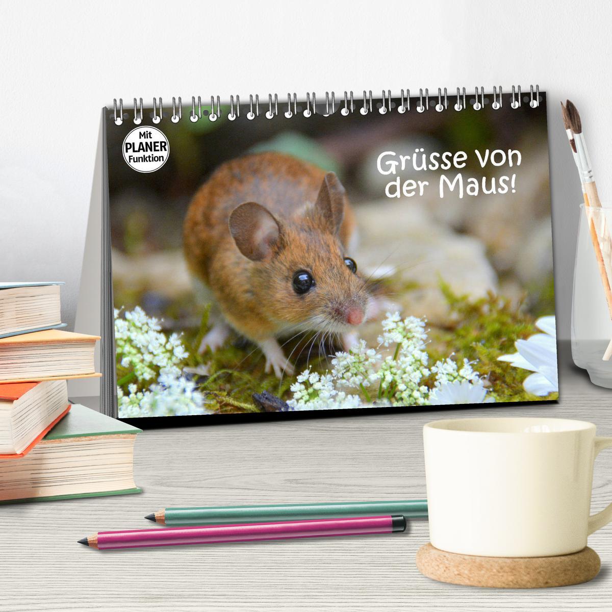 Bild: 9783435441297 | Grüsse von der Maus! (Tischkalender 2025 DIN A5 quer), CALVENDO...