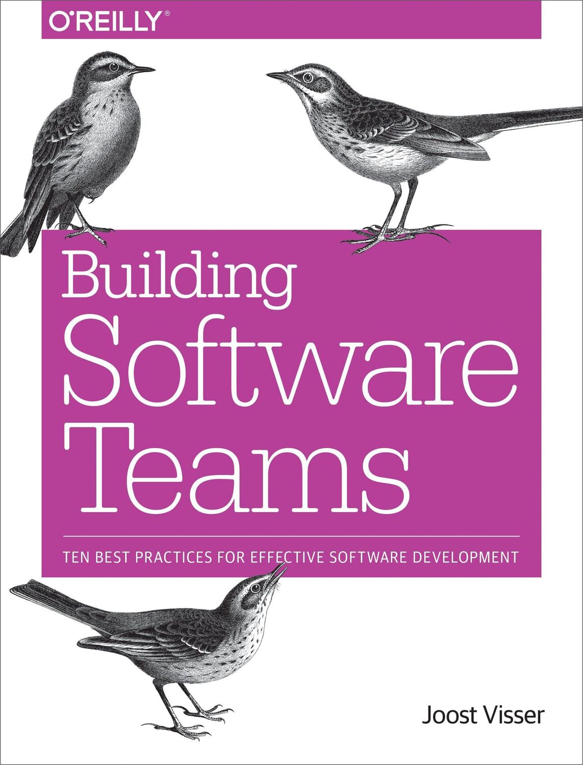 Cover: 9781491951774 | Building Software Teams | Joost Visser (u. a.) | Taschenbuch | 2017