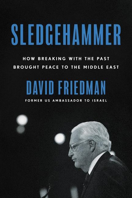 Cover: 9780063098114 | Sledgehammer | David Friedman | Buch | Gebunden | Englisch | 2022