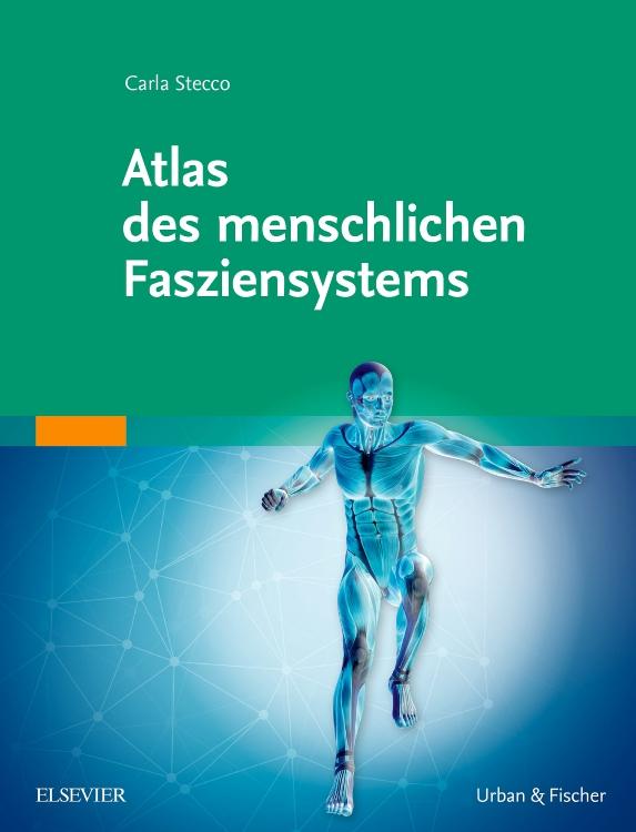 Cover: 9783437559051 | Atlas des menschlichen Fasziensystems | Carla Stecco | Buch | X | 2016