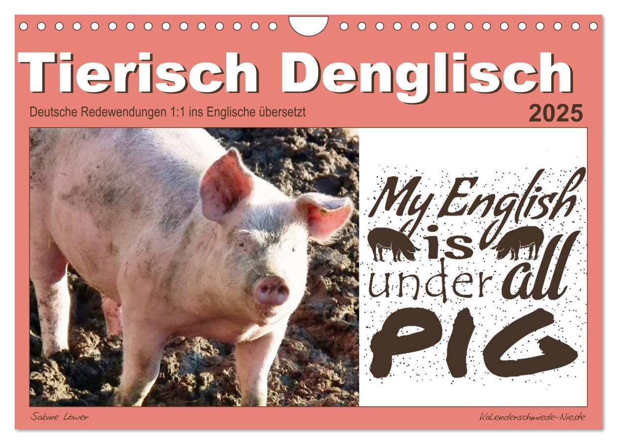 Cover: 9783435133048 | Tierisch Denglisch (Wandkalender 2025 DIN A4 quer), CALVENDO...