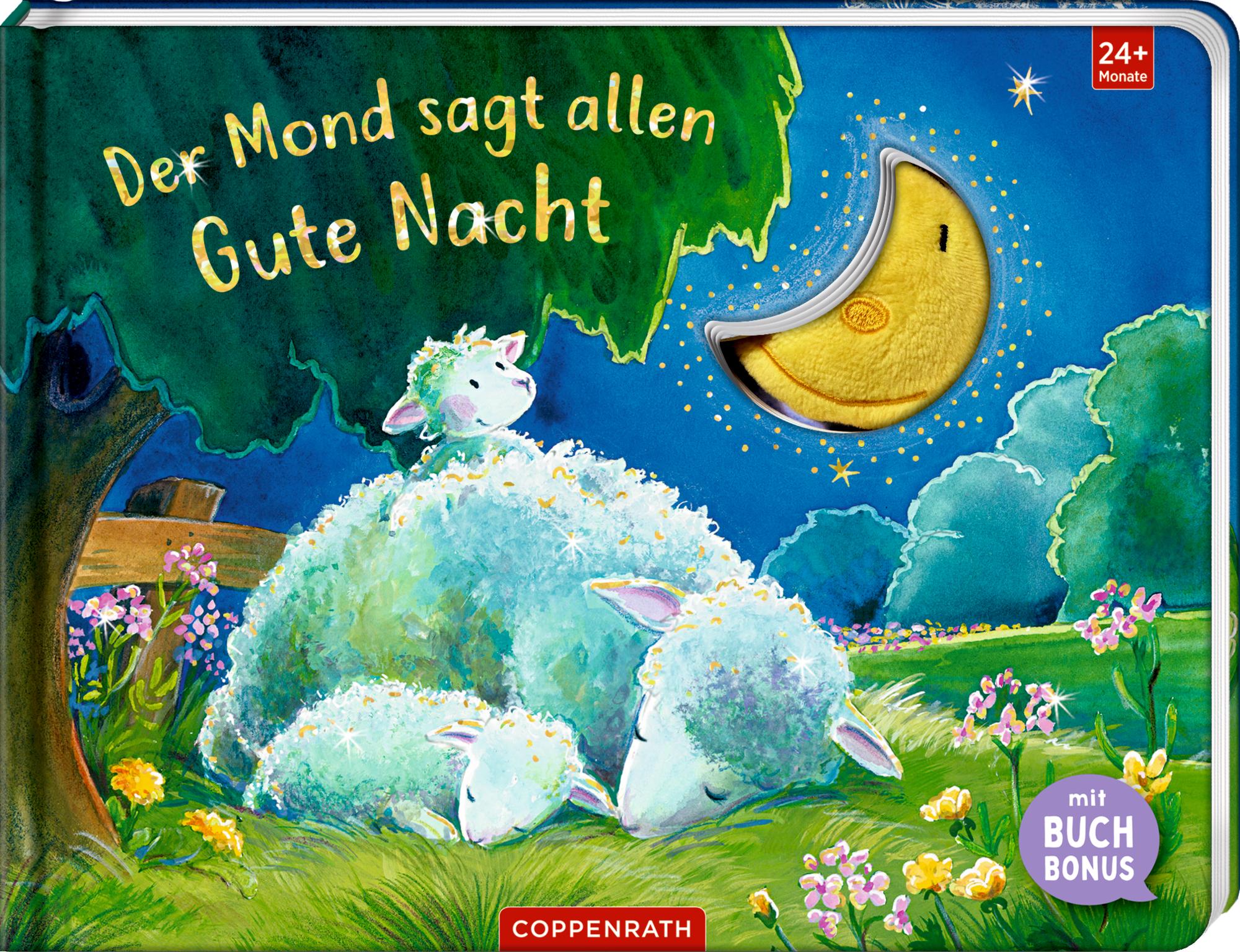 Cover: 9783649649304 | Der Mond sagt allen Gute Nacht | Mechthild Weiling-Bäcker | Buch