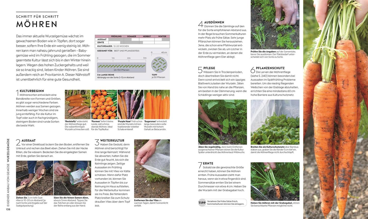 Bild: 9783831041565 | Kleiner Garten - große Ernte | Selbstversorgung Schritt für Schritt