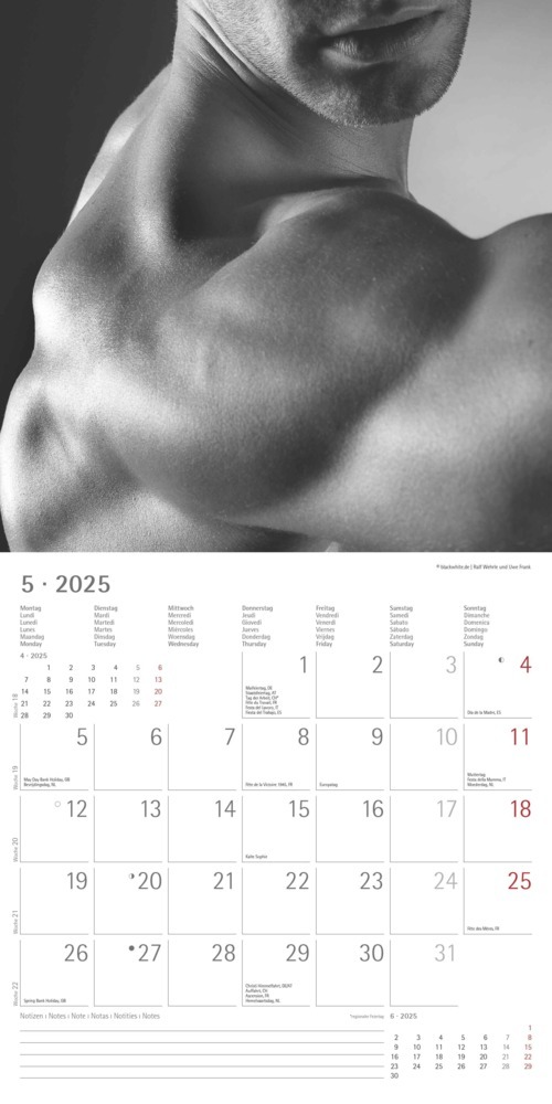 Bild: 4251732343095 | Alpha Edition - Masculine 2025 Broschürenkalender, 30x30cm,...