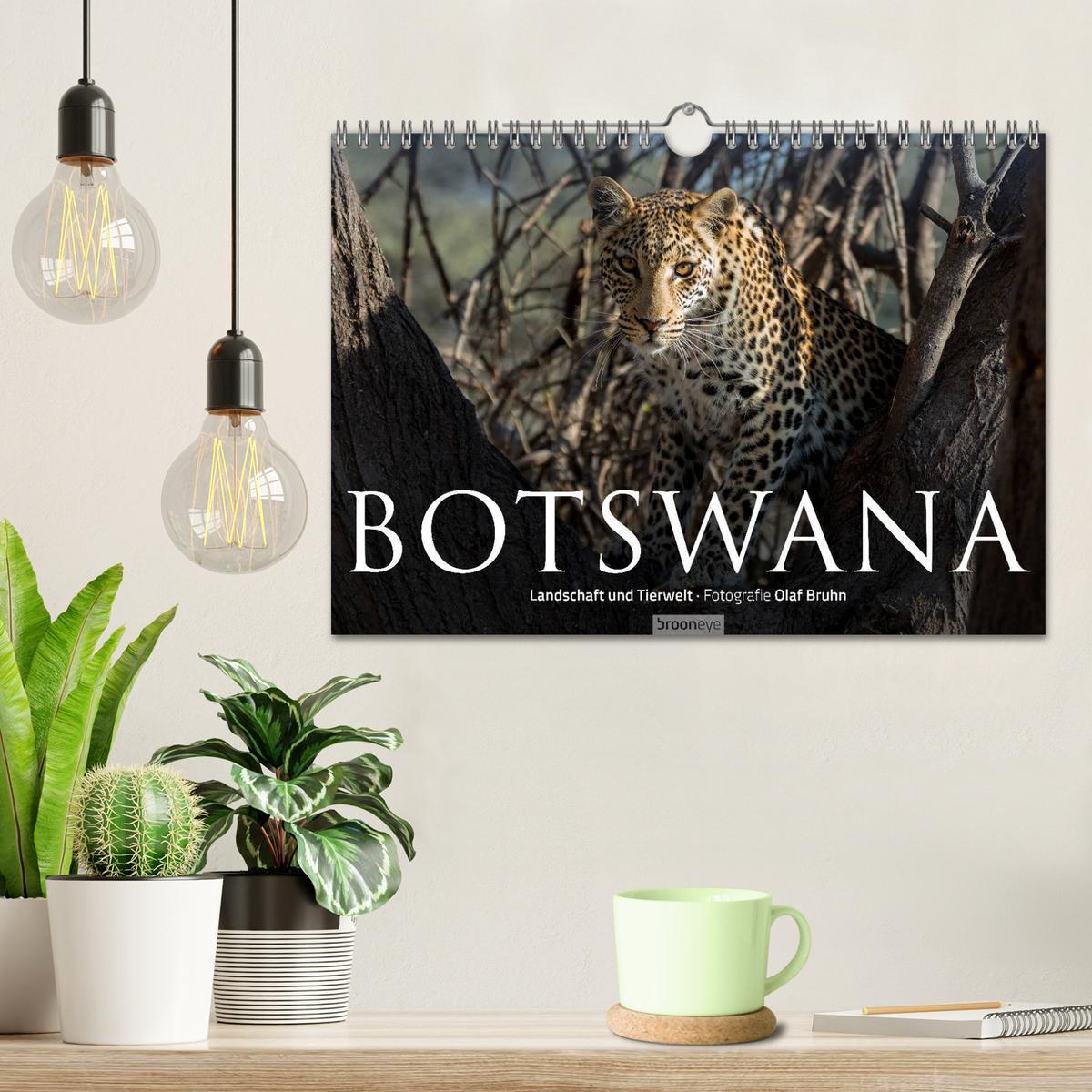 Bild: 9783435725748 | Botswana ¿ Landschaft und Tierwelt (Wandkalender 2025 DIN A4 quer),...