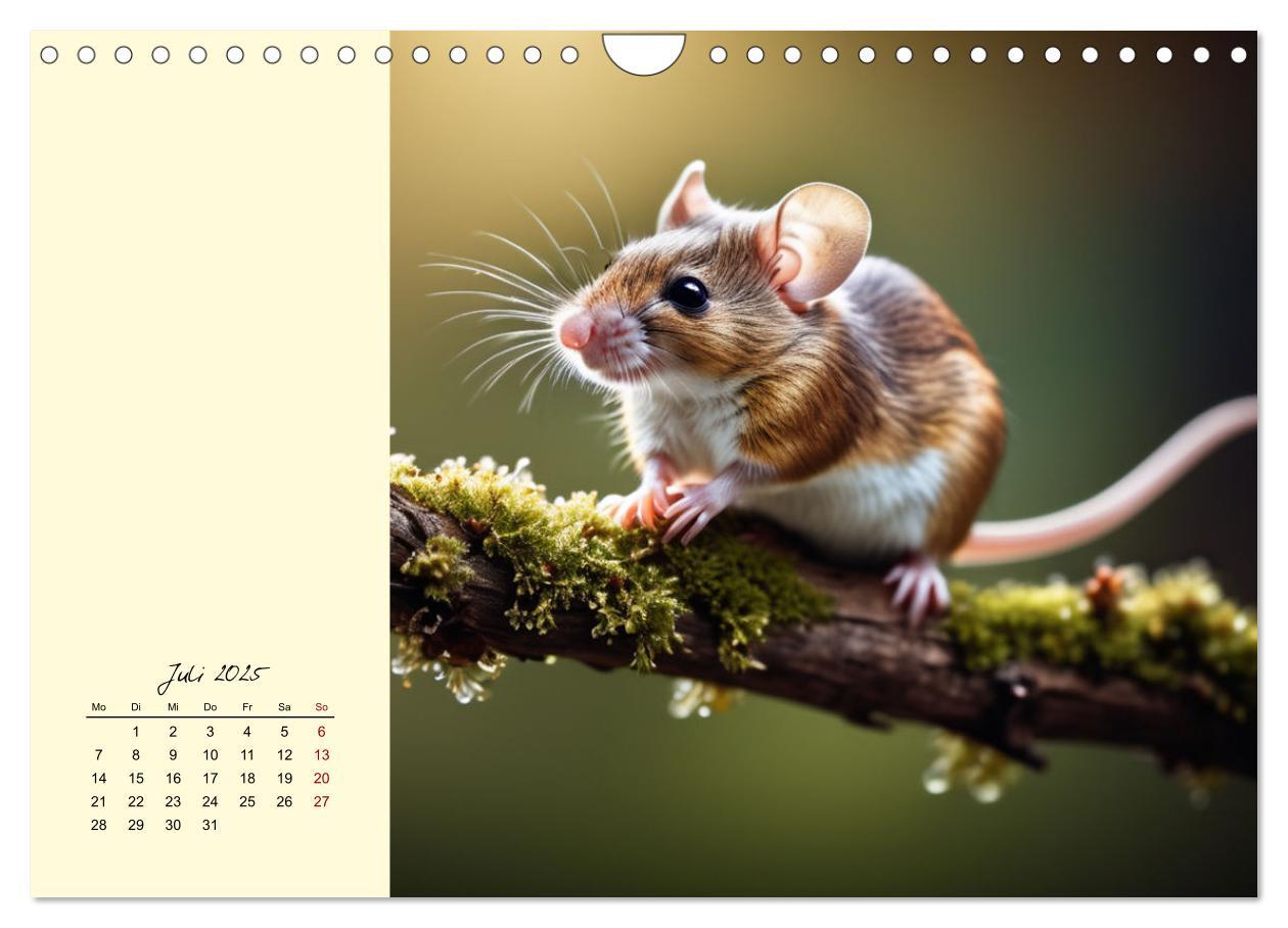 Bild: 9783457148594 | Goldige Mäuse im Grünen (Wandkalender 2025 DIN A4 quer), CALVENDO...