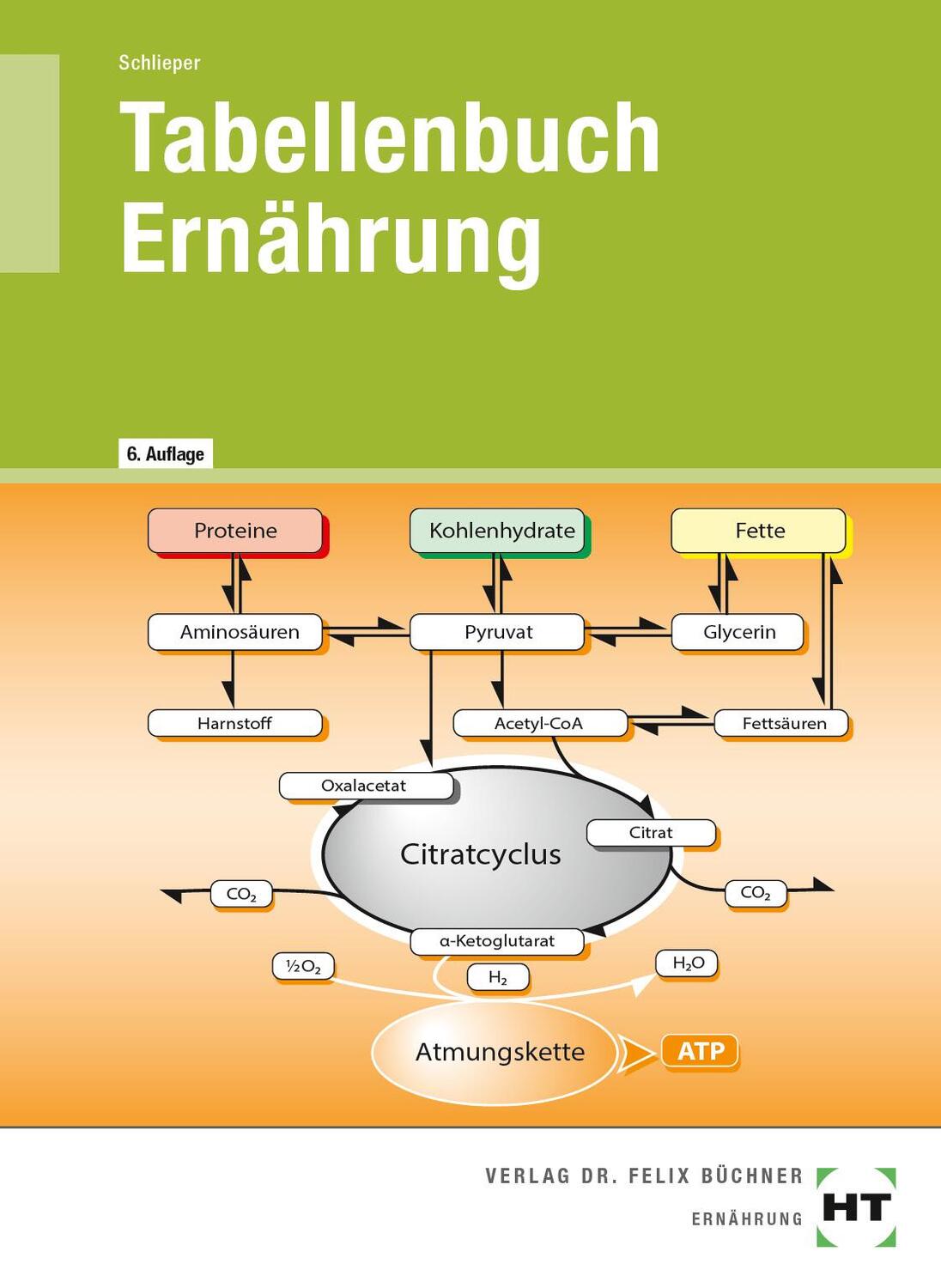 Cover: 9783582795588 | Tabellenbuch Ernährung | Cornelia A. Schlieper | Broschüre | 52 S.