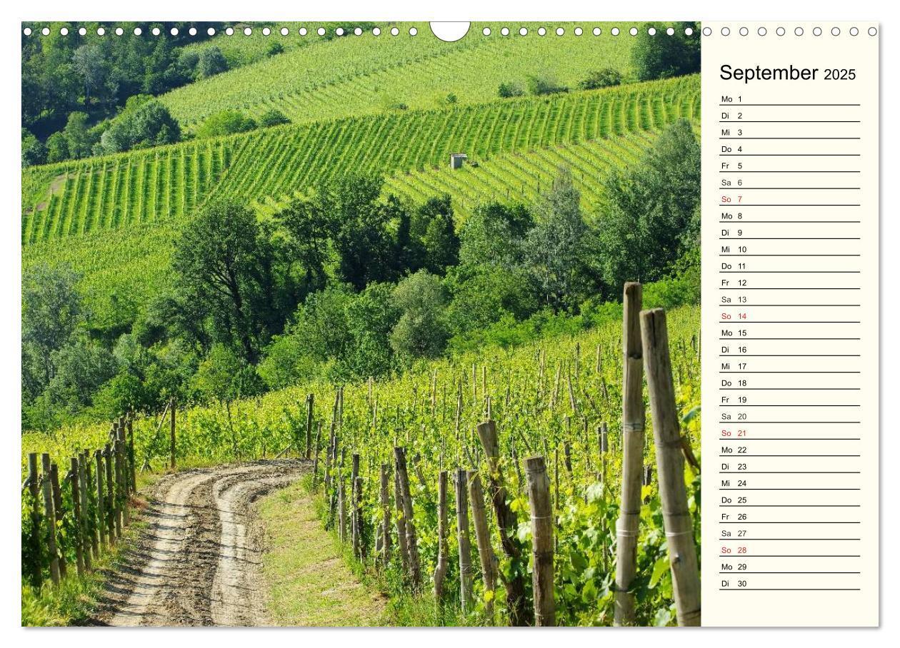 Bild: 9783435516216 | Die Langhe - Im Herzen des Piemonts (Wandkalender 2025 DIN A3...