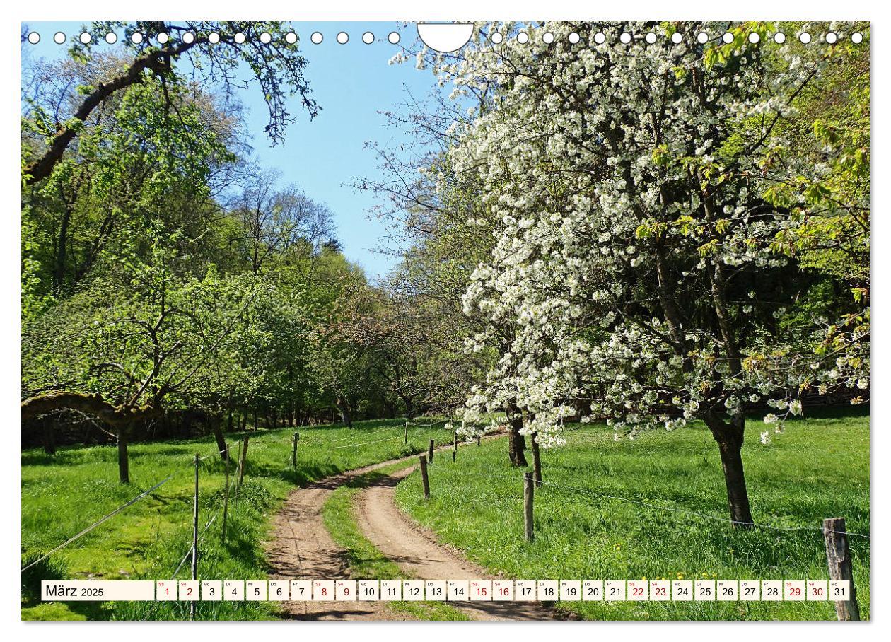 Bild: 9783435222698 | Viele Wege - ein Ziel Wandern im Odenwald (Wandkalender 2025 DIN A4...