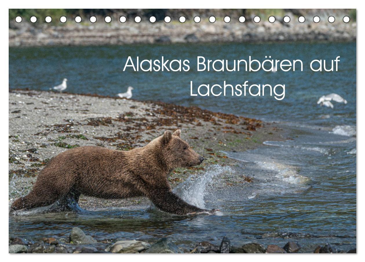 Cover: 9783435186570 | Grizzlybären im Katmai Nationalpark Alaska (Tischkalender 2025 DIN...