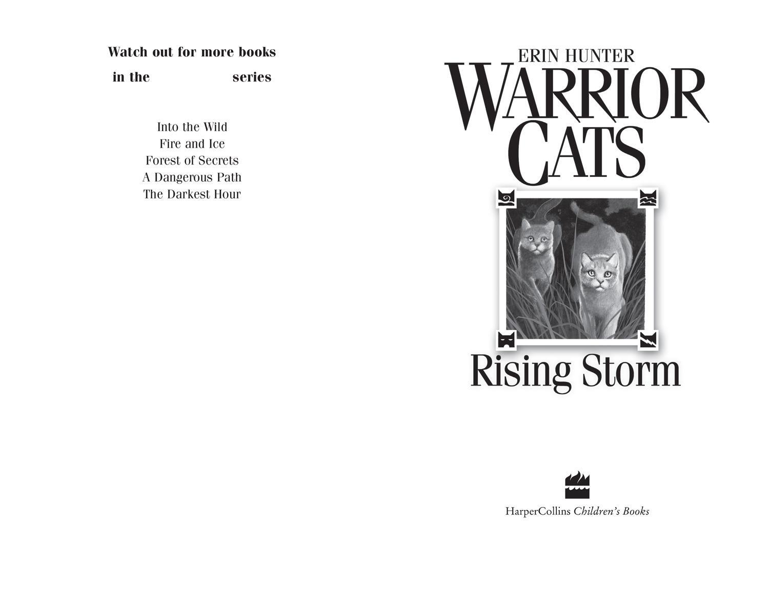 Bild: 9780007140053 | Rising Storm | Erin Hunter | Taschenbuch | Englisch | 2006