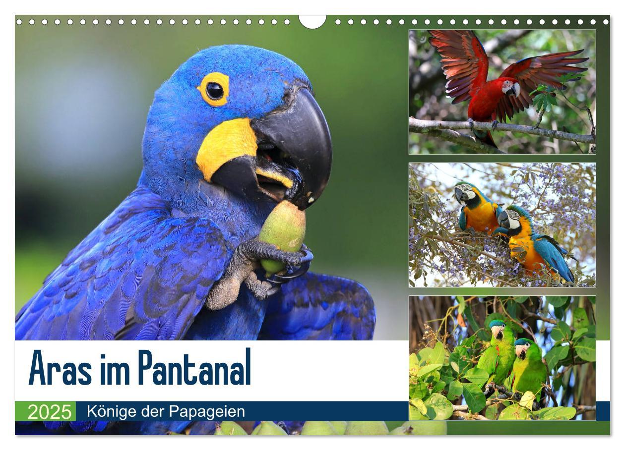 Cover: 9783435262809 | Aras im Pantanal (Wandkalender 2025 DIN A3 quer), CALVENDO...