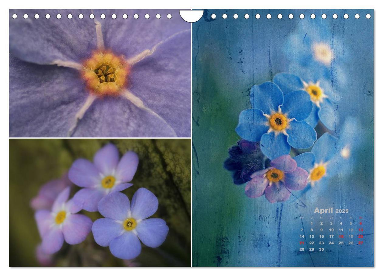 Bild: 9783435612406 | Blumenreise 2025 (Wandkalender 2025 DIN A4 quer), CALVENDO...