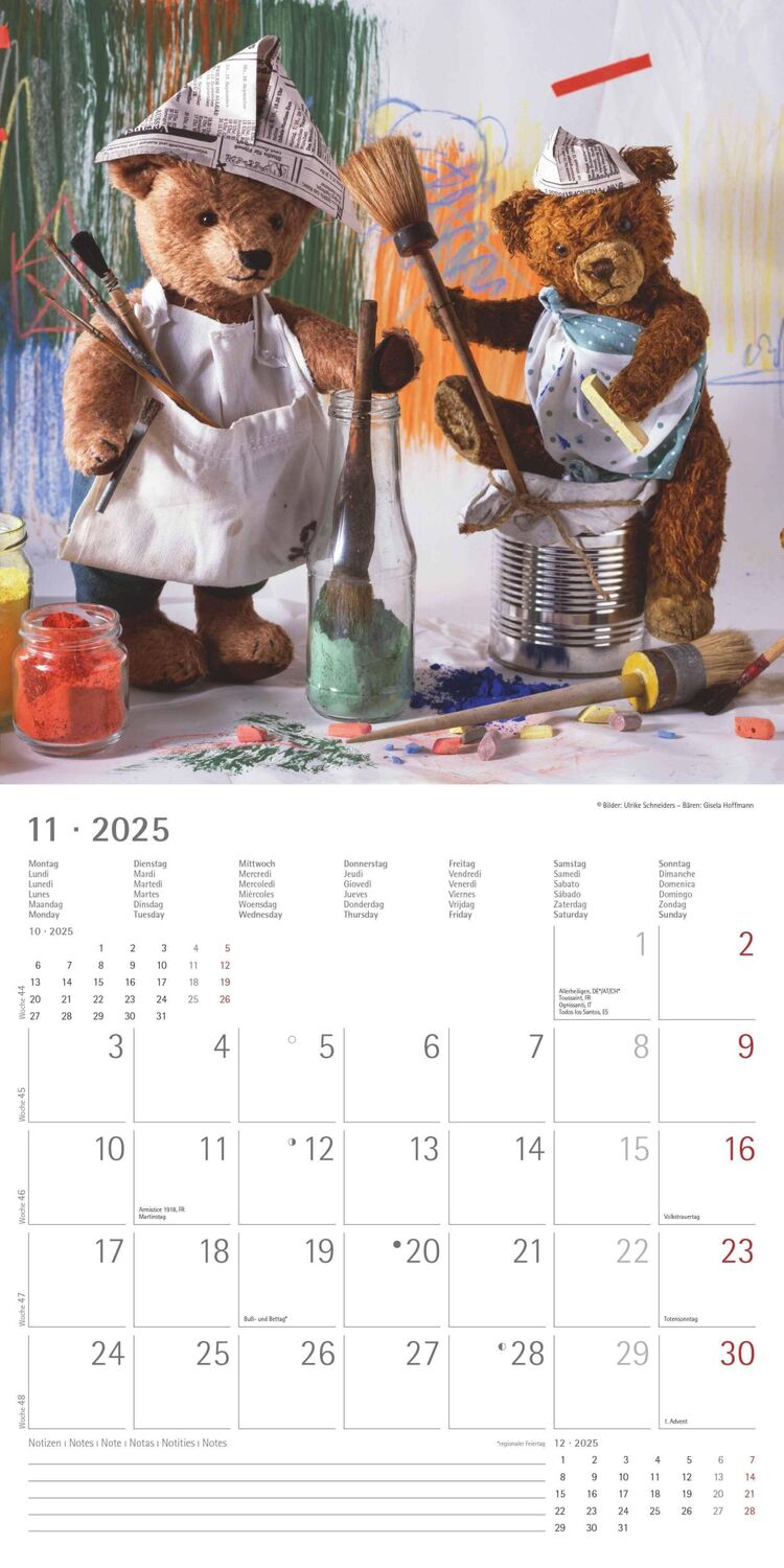 Bild: 4251732340643 | Teddy 2025 - Broschürenkalender 30x30 cm (30x60 geöffnet) -...