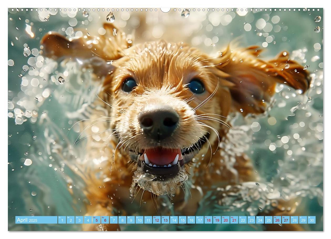 Bild: 9783457129241 | Hunde und Wasser (Wandkalender 2025 DIN A2 quer), CALVENDO...