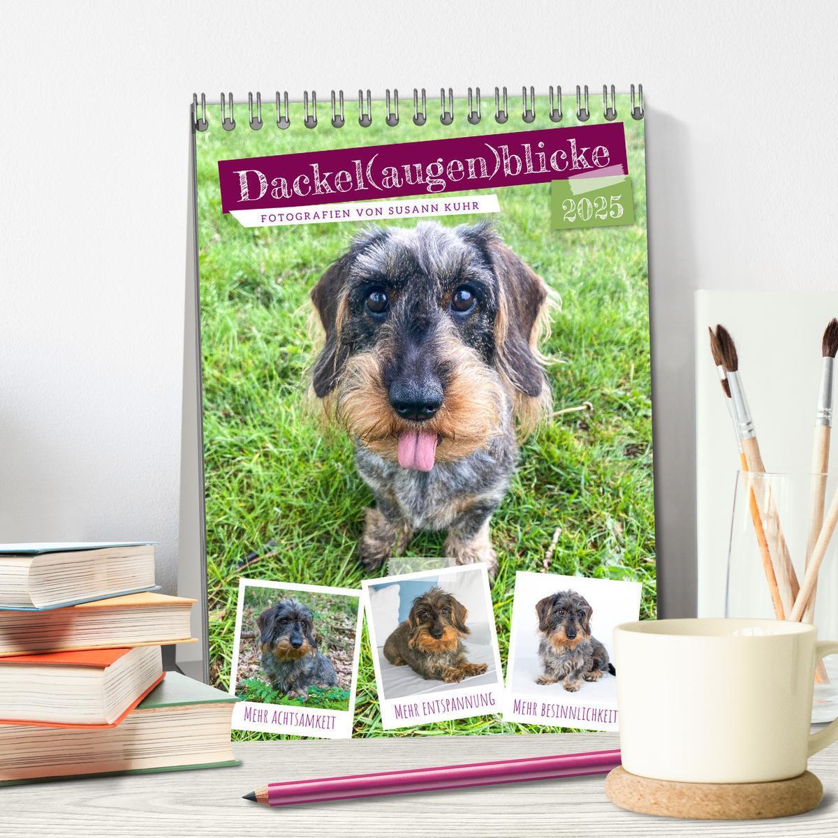 Bild: 9783435891993 | Dackel(augen)blicke (Tischkalender 2025 DIN A5 hoch), CALVENDO...