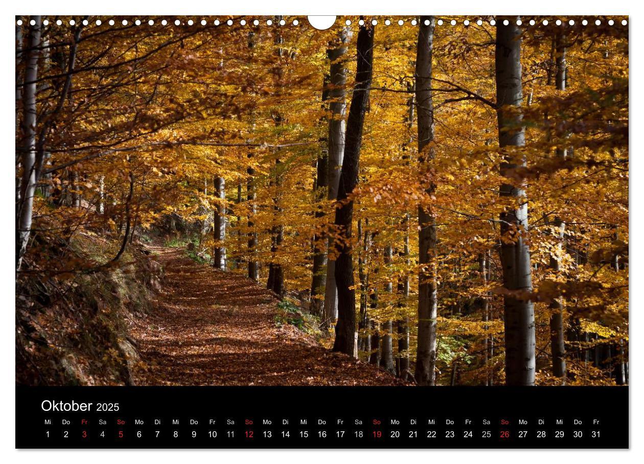 Bild: 9783435837212 | Harz-Bilder (Wandkalender 2025 DIN A3 quer), CALVENDO Monatskalender