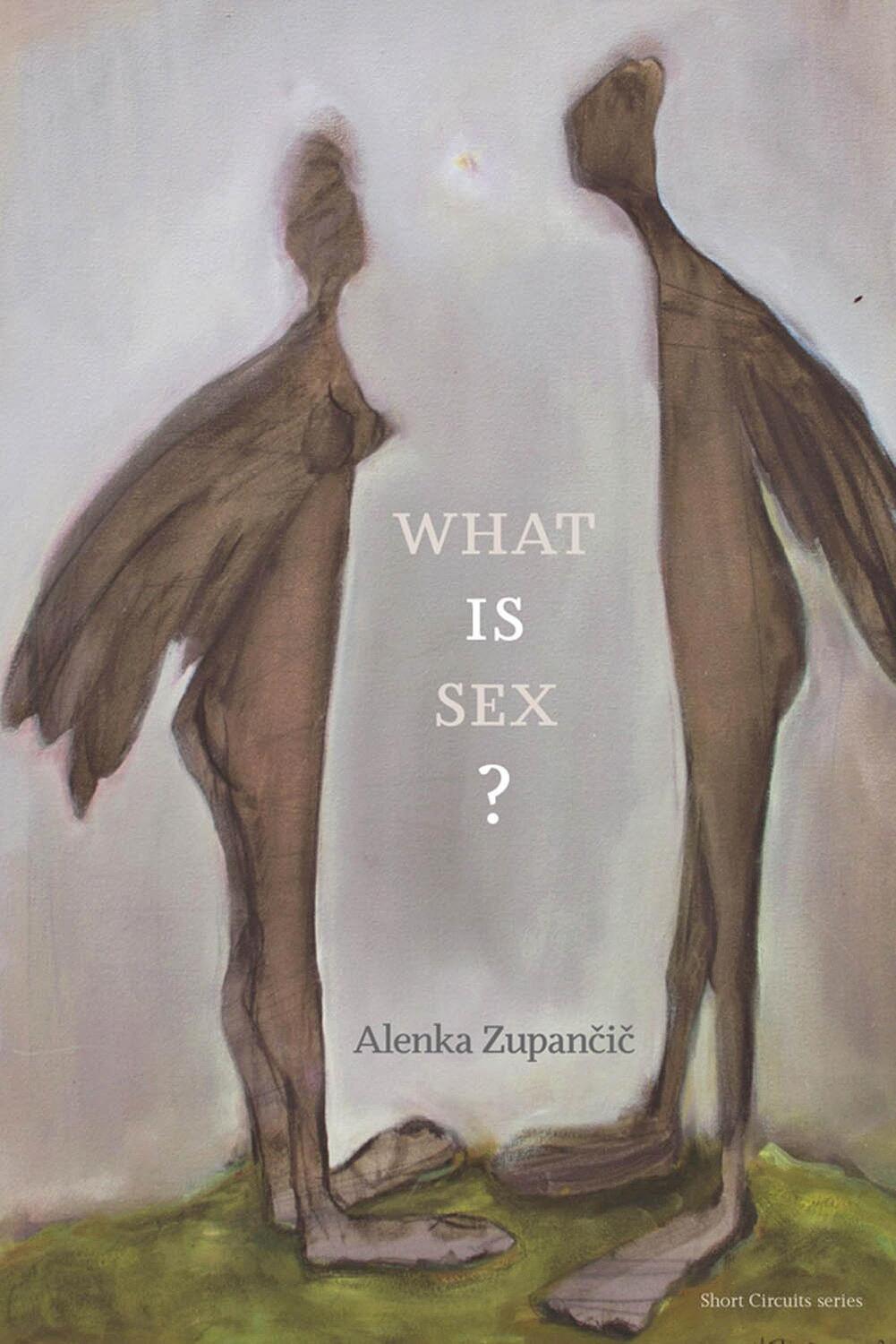 Cover: 9780262534130 | What is Sex? | Alenka Zupancic | Taschenbuch | Short Circuits | 2017