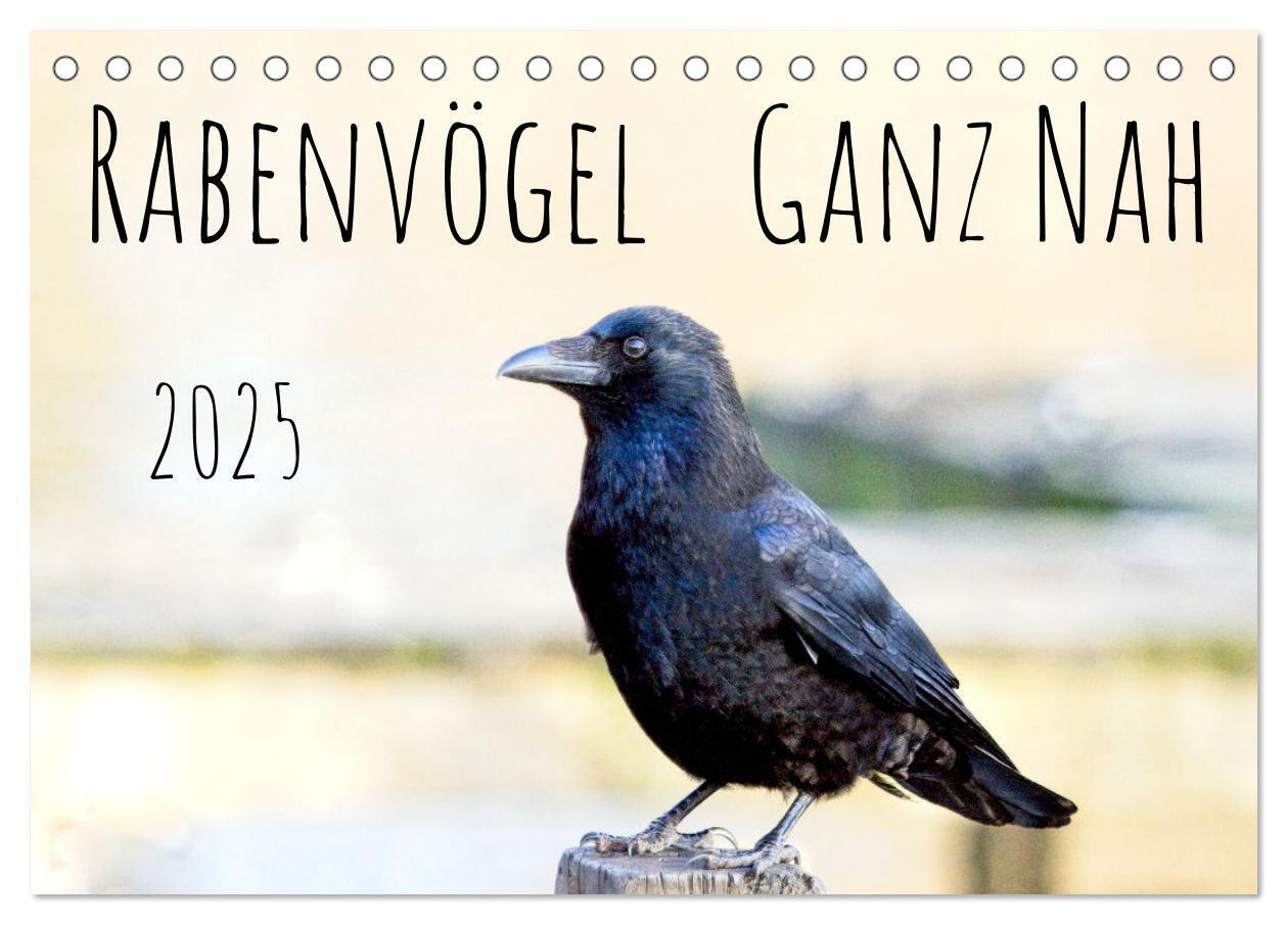 Cover: 9783383926709 | Rabenvögel - ganz nah (Tischkalender 2025 DIN A5 quer), CALVENDO...