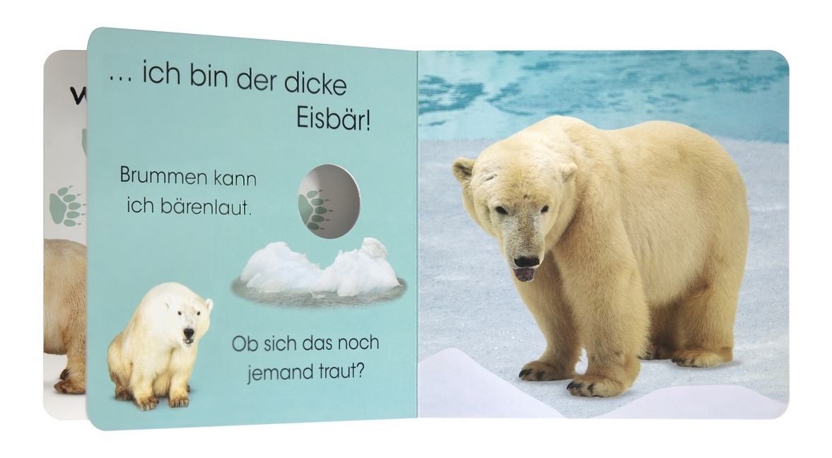 Bild: 9783831039470 | Wer versteckt sich da? Im Zoo | Sandra Grimm | Buch | 28 S. | Deutsch