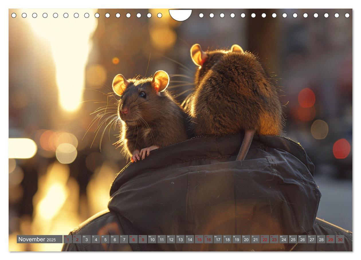 Bild: 9783383813832 | Mein bester Kumpel ist eine Ratte (Wandkalender 2025 DIN A4 quer),...