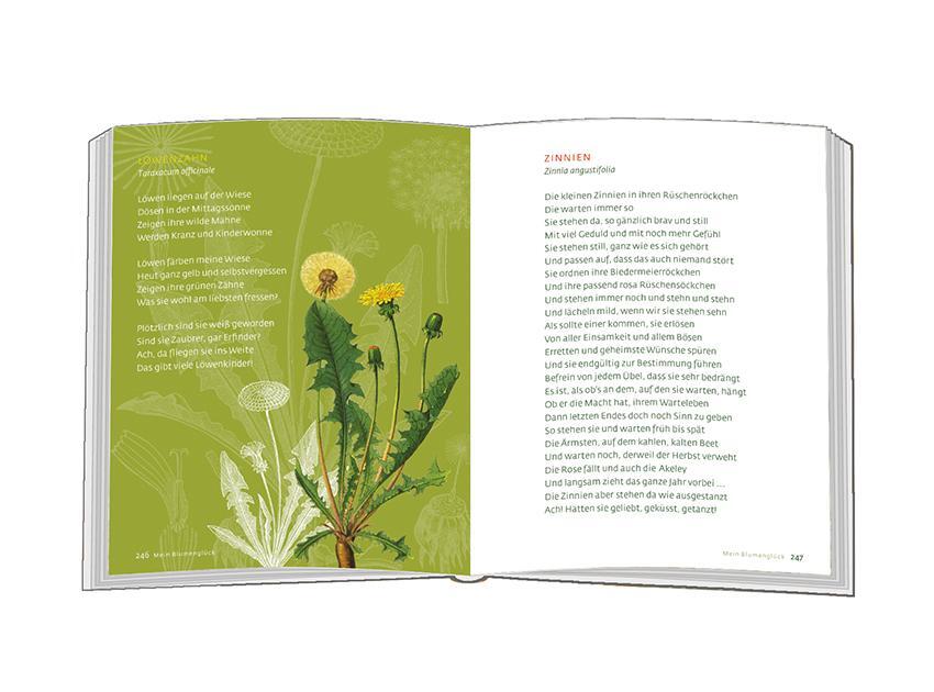 Bild: 9783869179452 | Mein Blumenglück | Gedichte aus meinem Garten | Doris Bewernitz | Buch