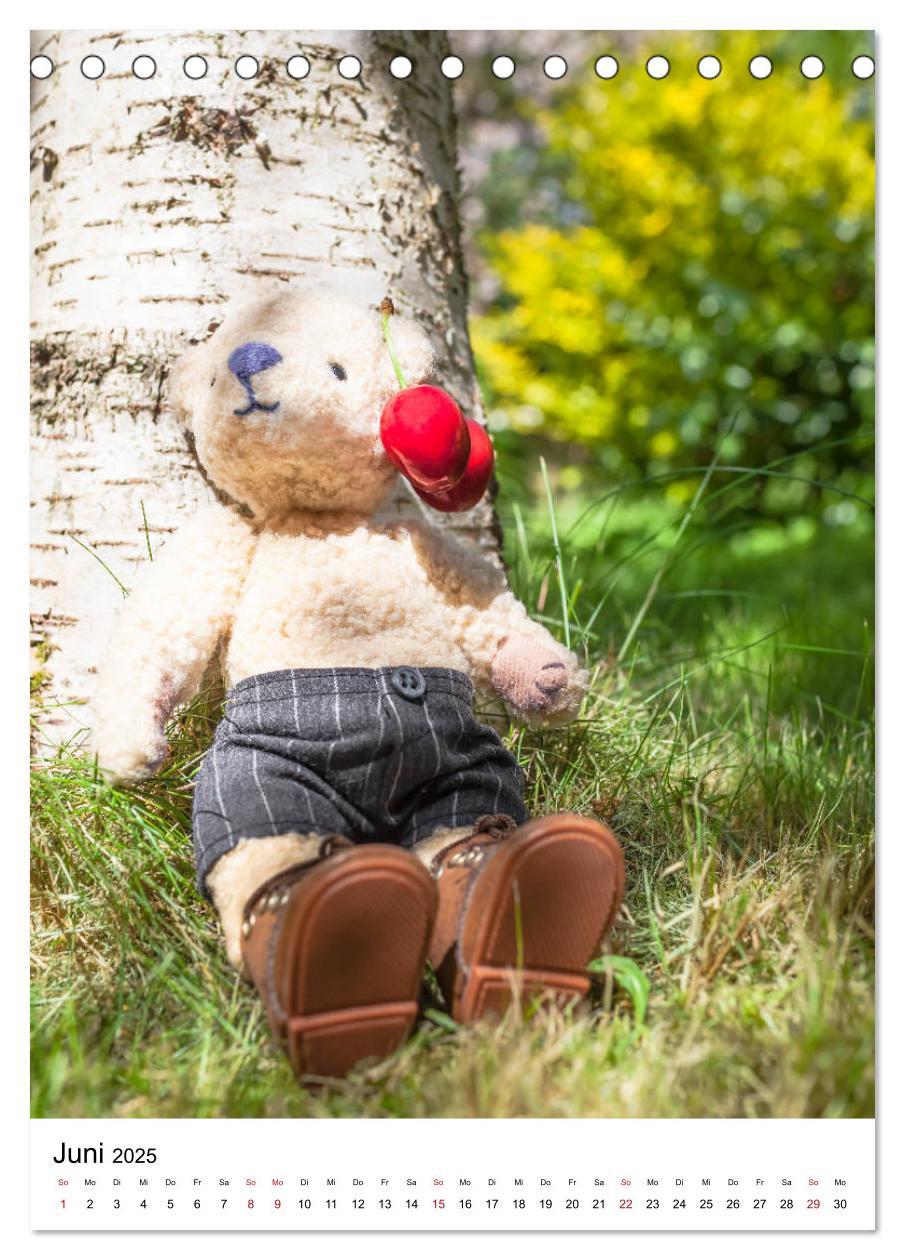 Bild: 9783435962846 | Teddybären Abenteuer - Zu Hause und Unterwegs (Tischkalender 2025...