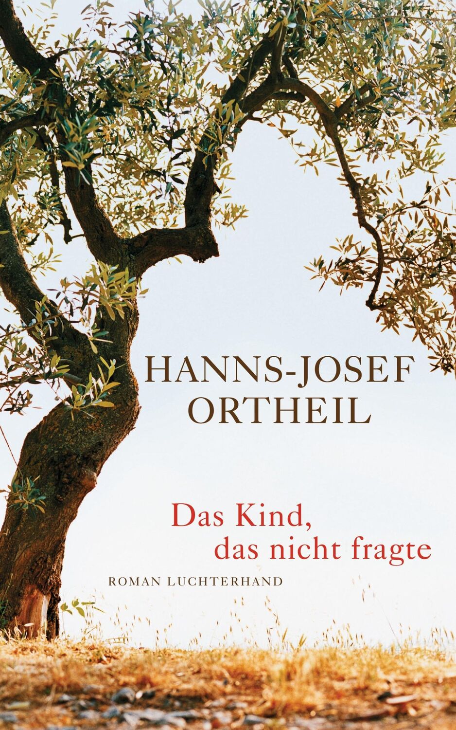 Cover: 9783630873022 | Das Kind, das nicht fragte | Hanns-Josef Ortheil | Buch | 428 S.