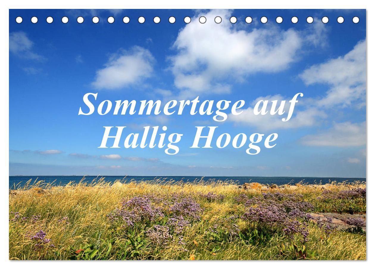 Cover: 9783435255801 | Sommertage auf Hallig Hooge (Tischkalender 2025 DIN A5 quer),...