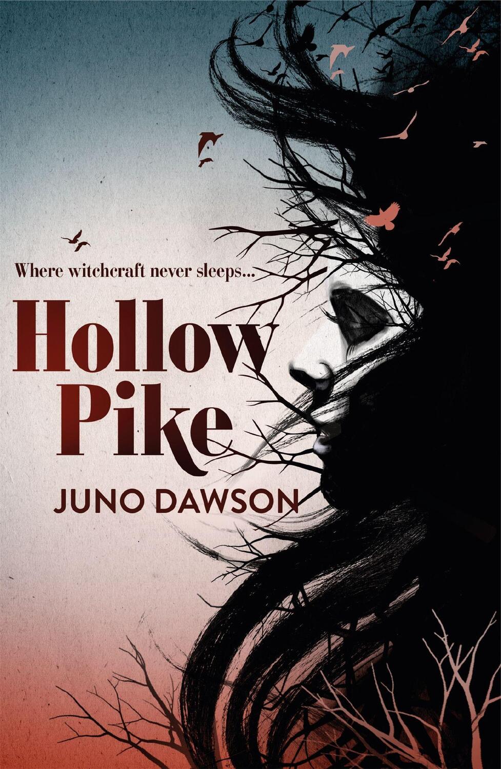 Cover: 9781780621289 | Hollow Pike | James Dawson | Taschenbuch | 314 S. | Englisch | 2012