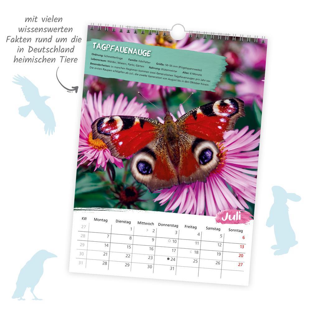 Bild: 9783988021984 | Trötsch Classickalender Heimische Tierwelt 2025 | Wandkalender | KG