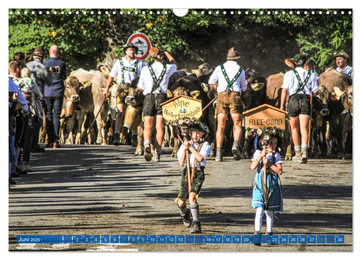 Bild: 9783435192434 | Allgäu - Perle im Süden (Wandkalender 2025 DIN A3 quer), CALVENDO...