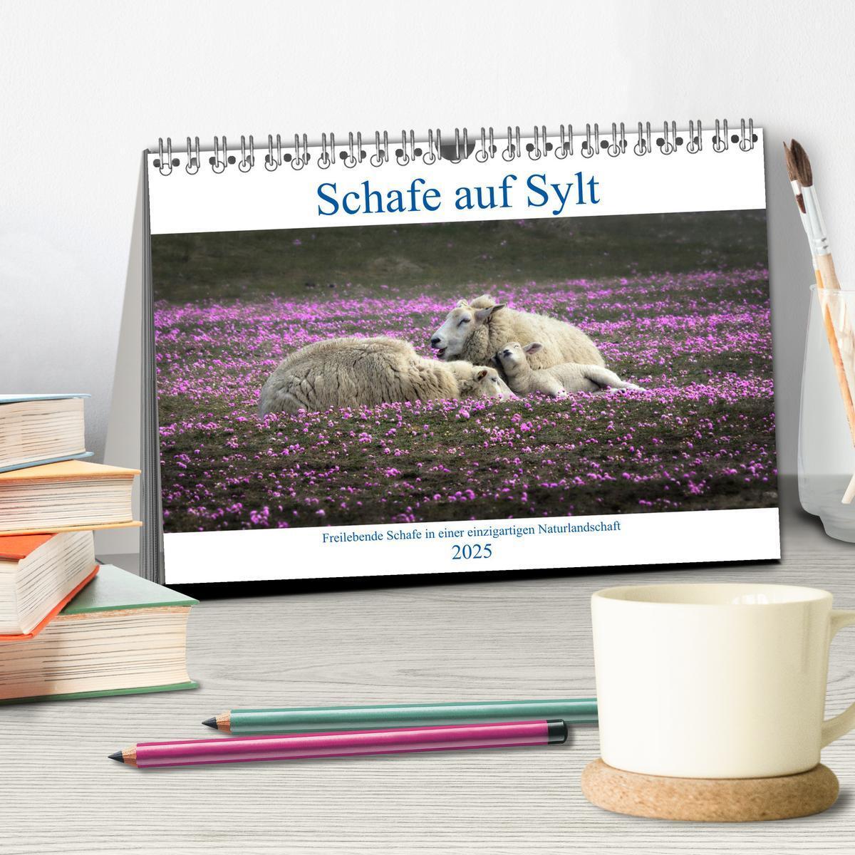 Bild: 9783435048892 | Schafe auf Sylt (Tischkalender 2025 DIN A5 quer), CALVENDO...